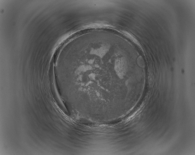 X0000068890831200605081317