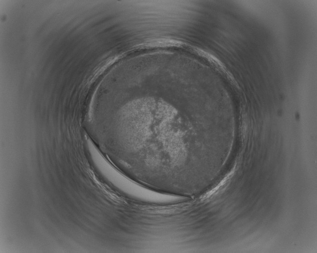 X0000068890833200605081317