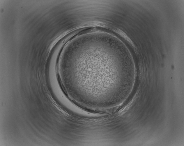 X0000068890834200605081317