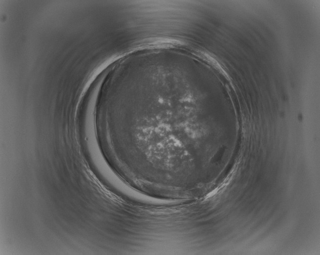 X0000068890835200605081317