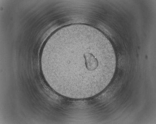 X0000068890836200605081317