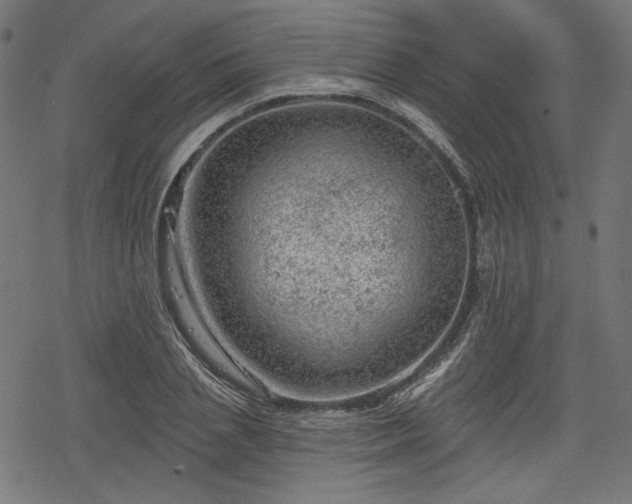 X0000068890837200605081317