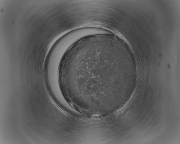 X0000068890838200605081317