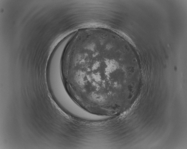 X0000068890839200605081317