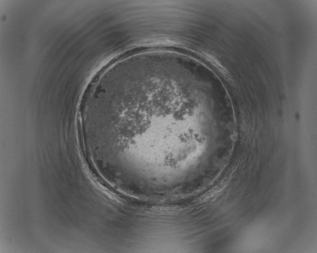 X0000068890840200605081317