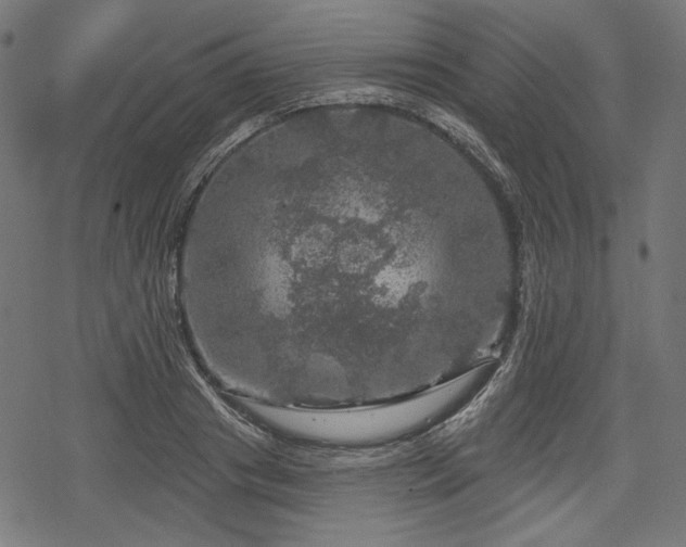 X0000068890841200605081317