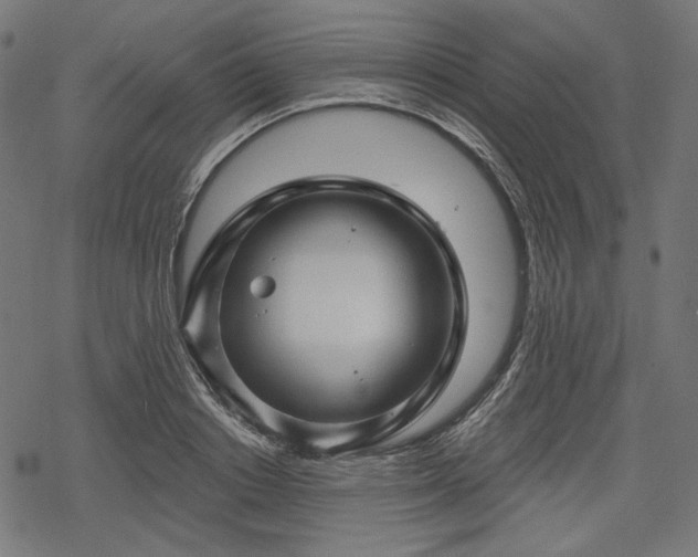 X0000068890842200605081318