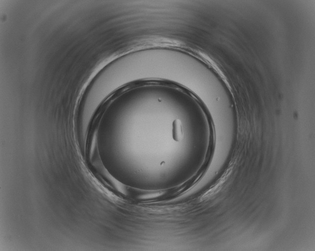 X0000068890843200605081318