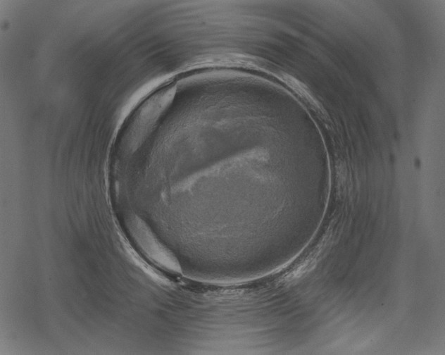 X0000068890846200605081318