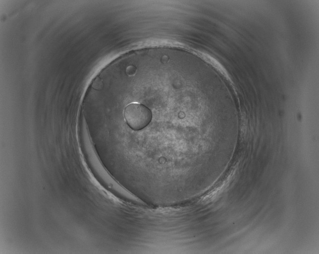 X0000068890847200605081318