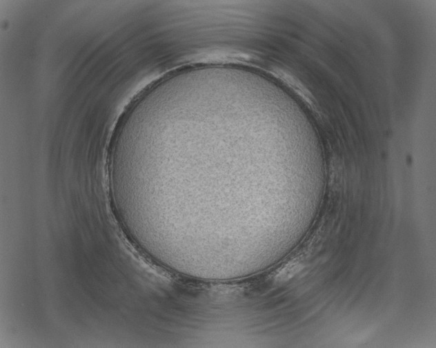 X0000068890848200605081318