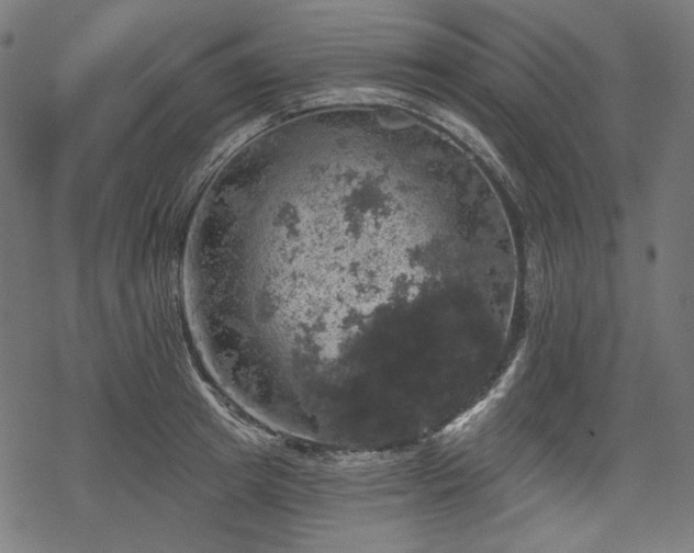 X0000068890849200605081318