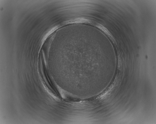 X0000068890850200605081318