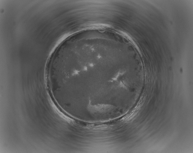 X0000068890851200605081318