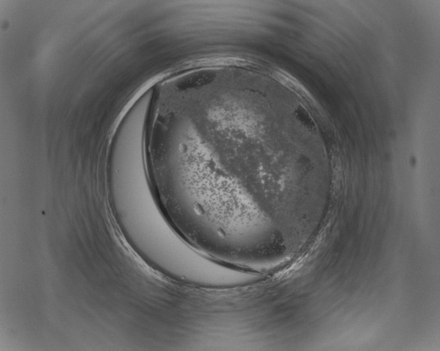 X0000068890852200605081318