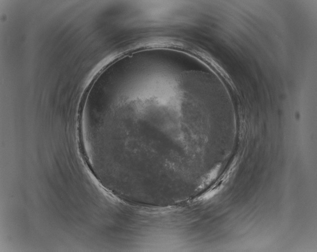 X0000068890853200605081318