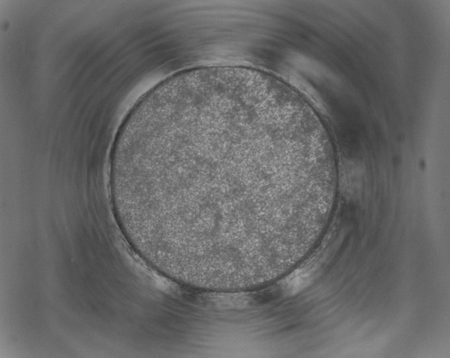 X0000068890856200605081318