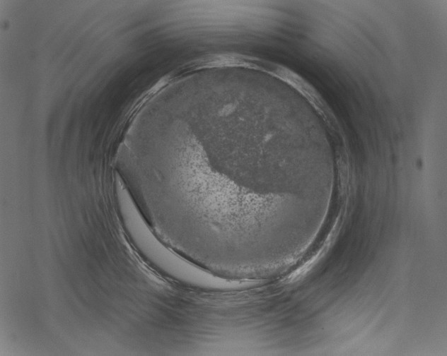 X0000068890857200605081318