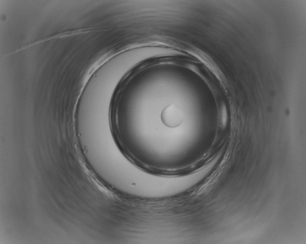 X0000068890858200605081318