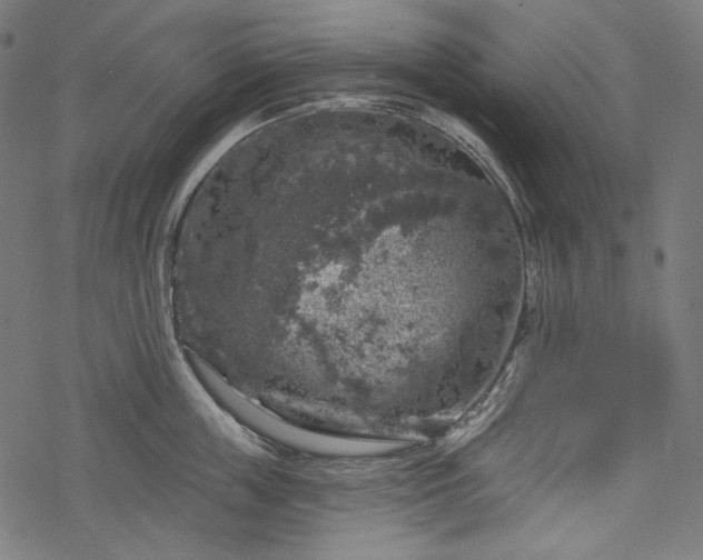 X0000068890859200605081318