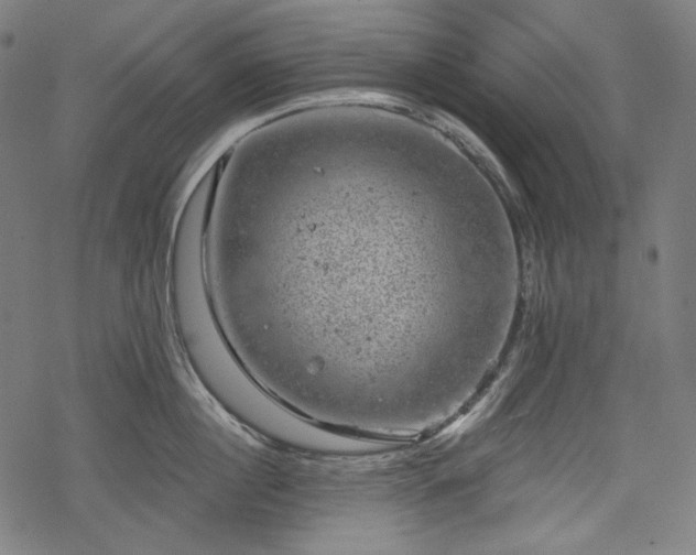 X0000068890860200605081318