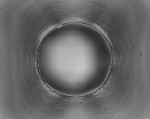 X0000068890861200605081318