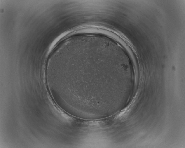 X0000068890862200605081318