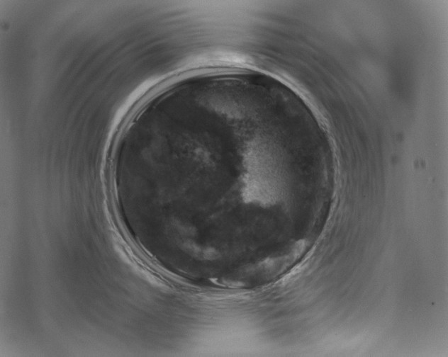 X0000068890864200605081318