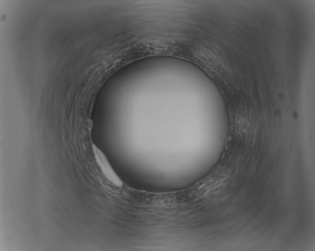 X0000068890865200605081317