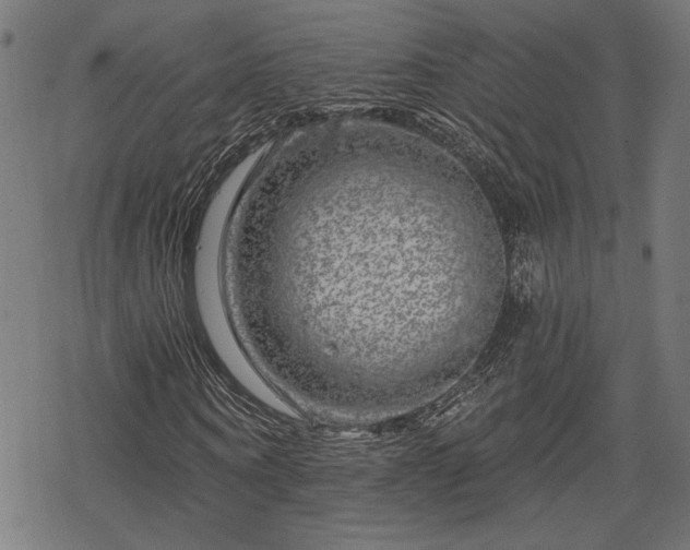 X0000068890866200605081317