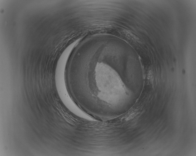 X0000068890868200605081317