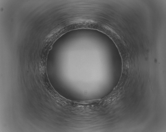 X0000068890869200605081317