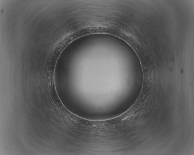 X0000068890870200605081317