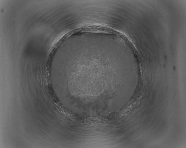 X0000068890871200605081317