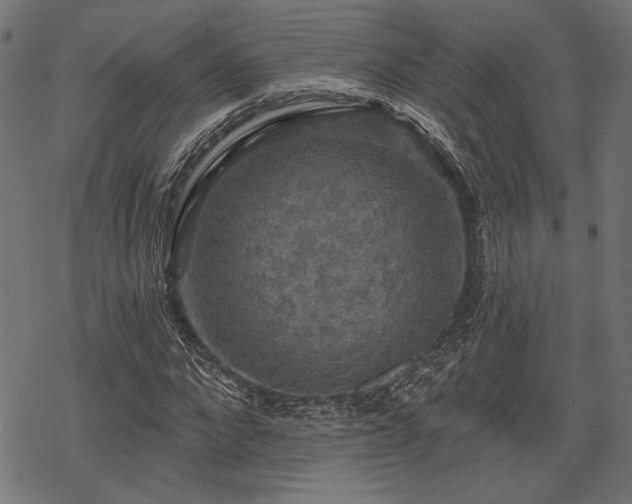 X0000068890872200605081317