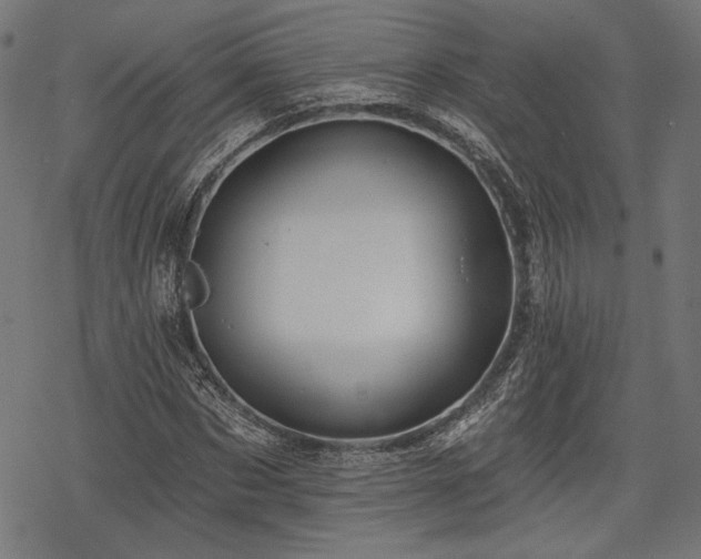 X0000068890873200605081317