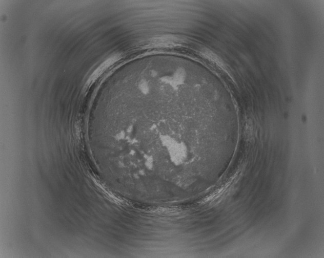 X0000068890874200605081317