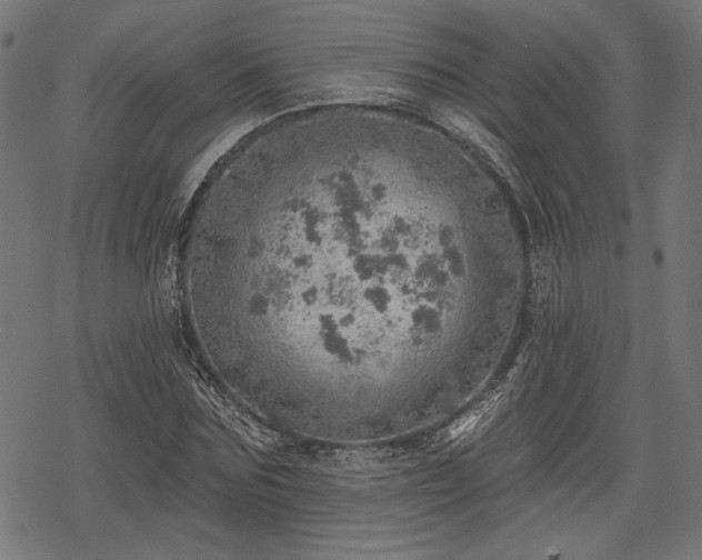 X0000068890875200605081317