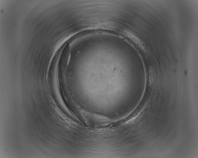 X0000068890876200605081317