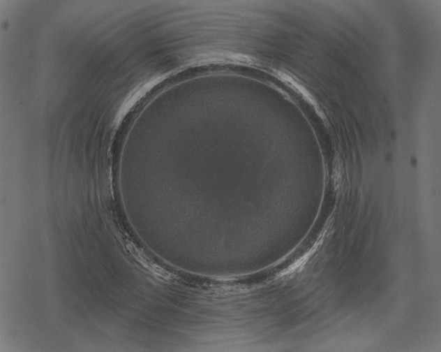 X0000068890877200605081317