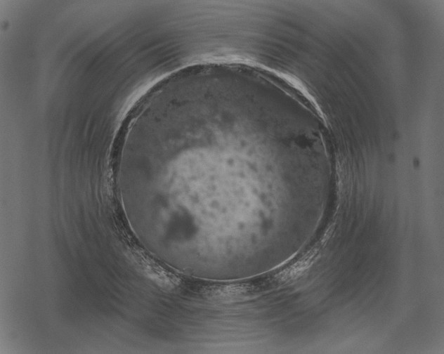 X0000068890879200605081317