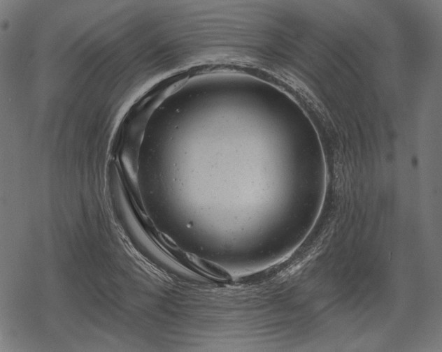 X0000068890880200605081317