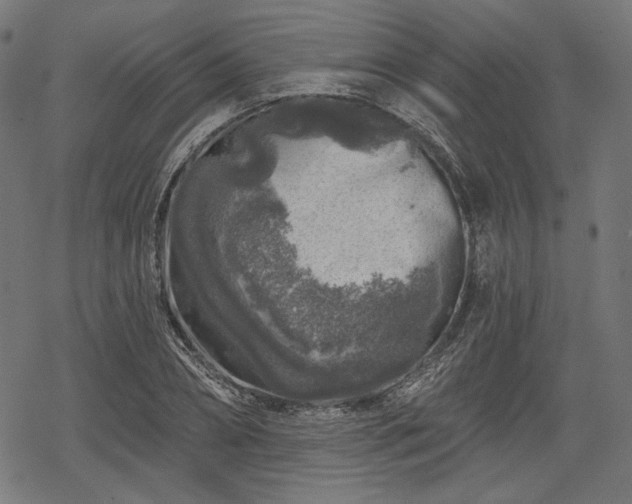 X0000068890882200605081317