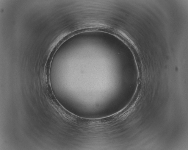 X0000068890883200605081317