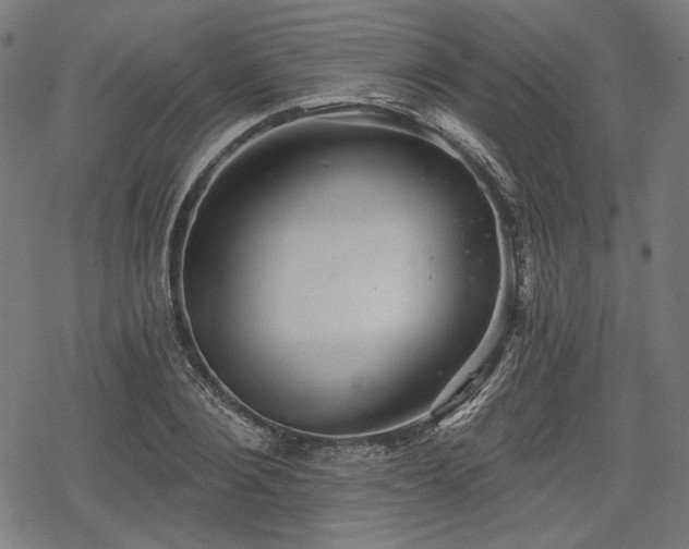 X0000068890884200605081317