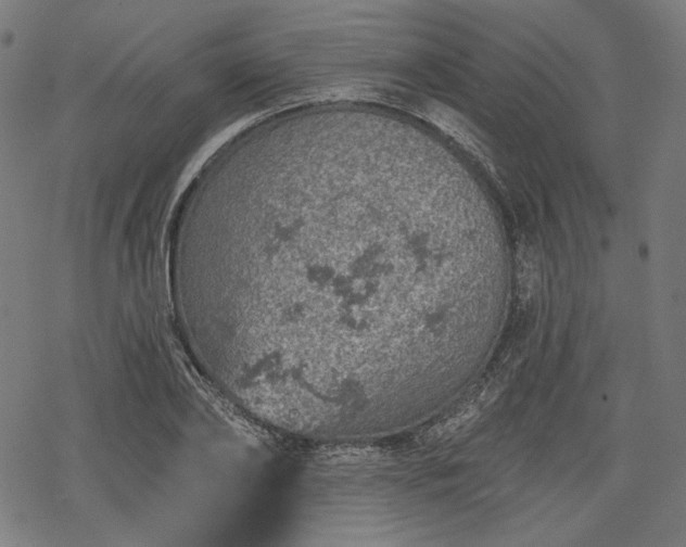 X0000068890886200605081317