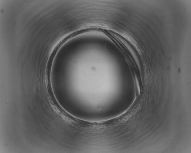 X0000068890888200605081317