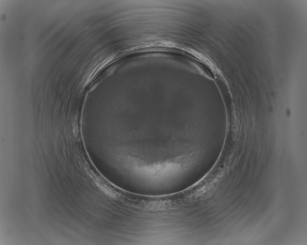 X0000068890889200605081317