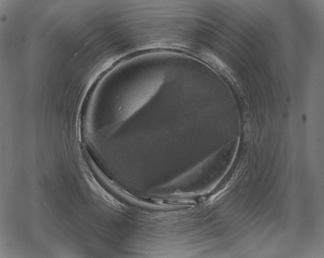 X0000068890892200605081317