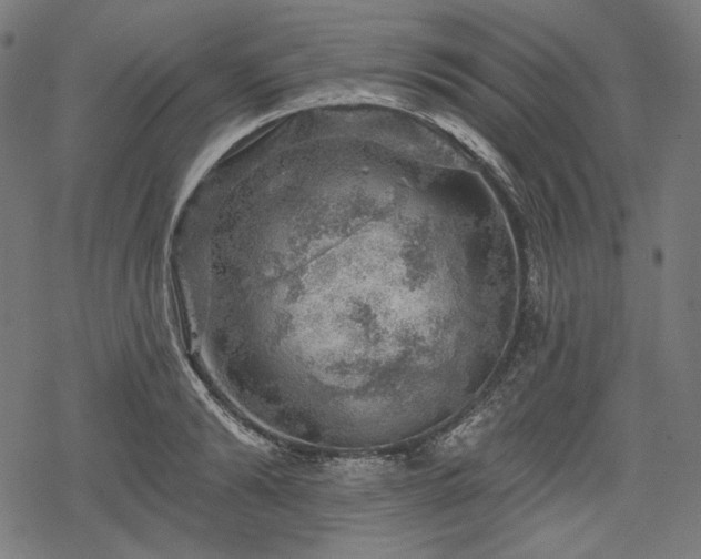 X0000068890894200605081317